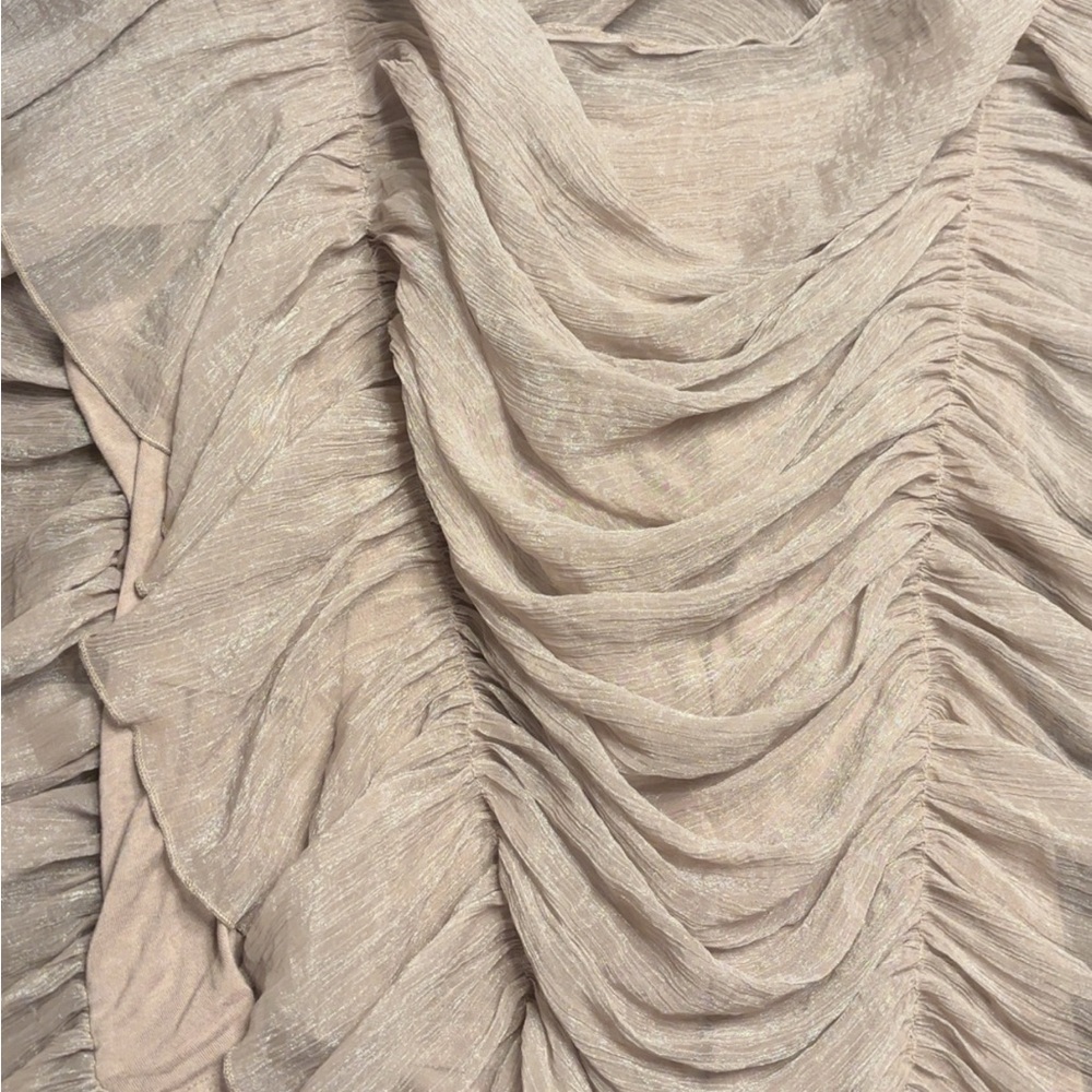 Vicinity Champagne Ruched Blouse